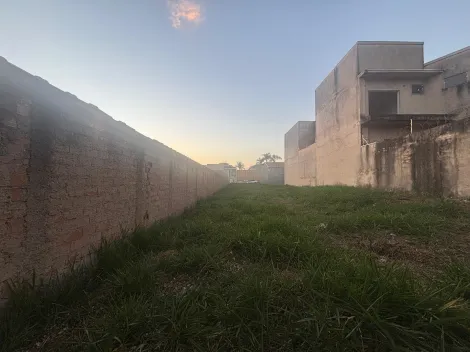 imagem 2 - Terreno de 295,25 m2 para venda no bairro Jardim Califórnia imagem 2 - Terreno de 295,25 m2 para venda no bairro Jardim Califórnia