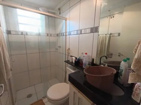 imagem 4 - Apartamento 2 dormitório para venda no Jardim José Sampaio Júnior imagem 4 - Apartamento 2 dormitório para venda no Jardim José Sampaio Júnior