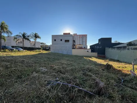 imagem 5 - Terreno Comercial com 308m² à venda no bairro Jardim Califórnia imagem 5 - Terreno Comercial com 308m² à venda no bairro Jardim Califórnia