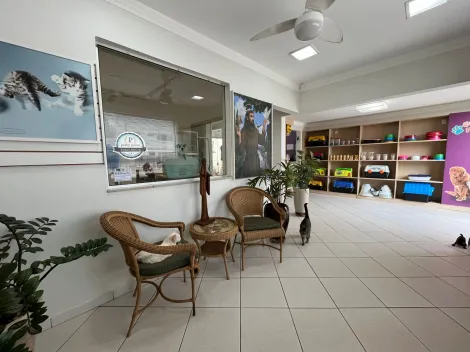 imagem 3 - Casa Comercial para locação no Jardim Irajá imagem 3 - Casa Comercial para locação no Jardim Irajá