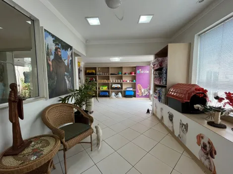 imagem 4 - Casa Comercial para locação no Jardim Irajá imagem 4 - Casa Comercial para locação no Jardim Irajá