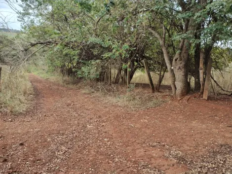 imagem 1 - Área Rural 21.509m² à venda no Sítio Umuarama KM 13 imagem 1 - Área Rural 21.509m² à venda no Sítio Umuarama KM 13