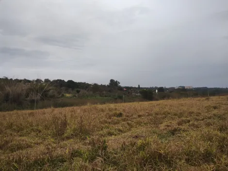 imagem 2 - Área Rural 21.509m² à venda no Sítio Umuarama KM 13 imagem 2 - Área Rural 21.509m² à venda no Sítio Umuarama KM 13