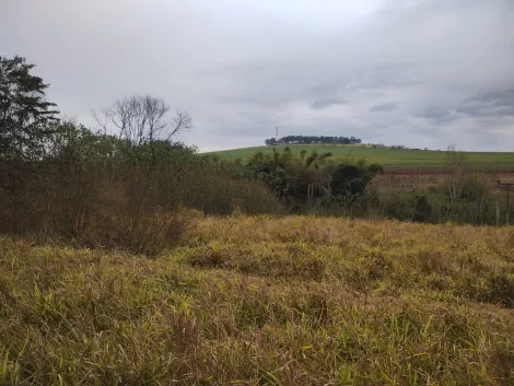 imagem 3 - Área Rural 21.509m² à venda no Sítio Umuarama KM 13 imagem 3 - Área Rural 21.509m² à venda no Sítio Umuarama KM 13