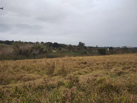 imagem 4 - Área Rural 21.509m² à venda no Sítio Umuarama KM 13 imagem 4 - Área Rural 21.509m² à venda no Sítio Umuarama KM 13
