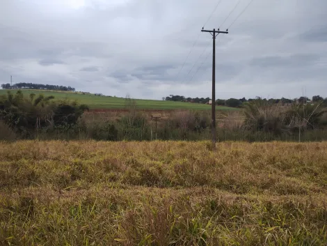 imagem 5 - Área Rural 21.509m² à venda no Sítio Umuarama KM 13 imagem 5 - Área Rural 21.509m² à venda no Sítio Umuarama KM 13