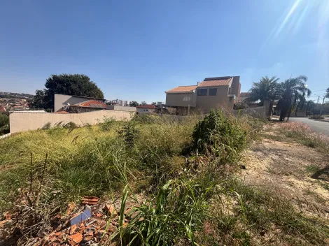 imagem 5 - Terreno - Área imagem 5 - Terreno - Área