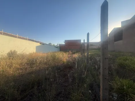 imagem 4 - Terreno com 300m² à venda no bairro Alto da Boa Vista imagem 4 - Terreno com 300m² à venda no bairro Alto da Boa Vista