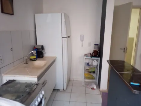 imagem 4 - Apartamento Térreo 2 dormitórios no Jardim Manoel Penna imagem 4 - Apartamento Térreo 2 dormitórios no Jardim Manoel Penna