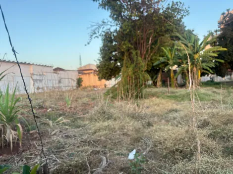 imagem 4 - Terreno com 968m² à venda no bairro Campos Elíseos imagem 4 - Terreno com 968m² à venda no bairro Campos Elíseos