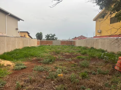 imagem 1 - Terreno Plano 502m² à venda na City Ribeirão imagem 1 - Terreno Plano 502m² à venda na City Ribeirão