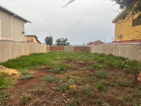 imagem 4 - Terreno Plano 502m² à venda na City Ribeirão imagem 4 - Terreno Plano 502m² à venda na City Ribeirão