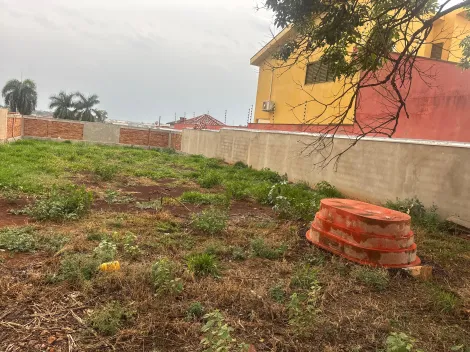imagem 5 - Terreno Plano 502m² à venda na City Ribeirão imagem 5 - Terreno Plano 502m² à venda na City Ribeirão