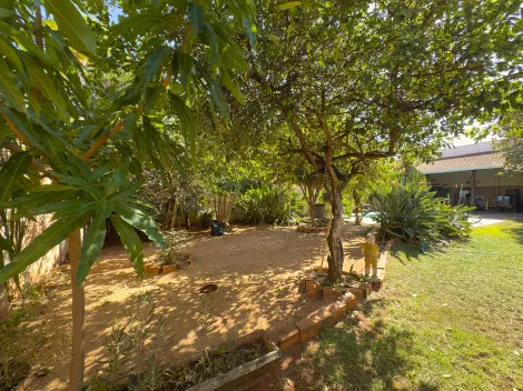 imagem 2 - Casa Térrea com 2 dormitórios à venda no Parque São Sebastião imagem 2 - Casa Térrea com 2 dormitórios à venda no Parque São Sebastião
