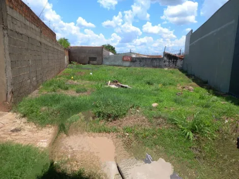 imagem 1 - Terreno Plano 330m² à venda no Jardim José Figueira imagem 1 - Terreno Plano 330m² à venda no Jardim José Figueira