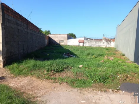 imagem 2 - Terreno Plano 330m² à venda no Jardim José Figueira imagem 2 - Terreno Plano 330m² à venda no Jardim José Figueira