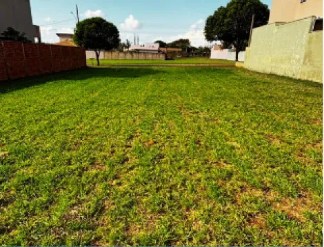 imagem 1 - Terreno em Condomínio de 780m² à venda em Cravinhos imagem 1 - Terreno em Condomínio de 780m² à venda em Cravinhos