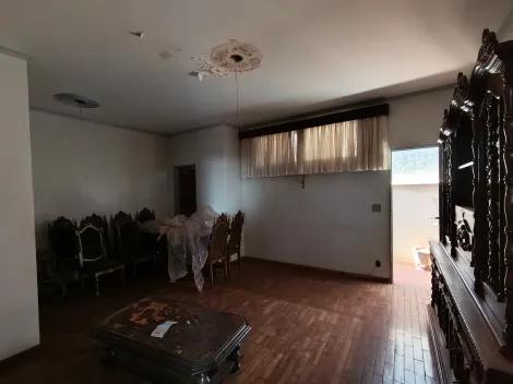 imagem 5 - Casa térrea com 3 dormitórios para venda e locação no bairro Jardim Paulista imagem 5 - Casa térrea com 3 dormitórios para venda e locação no bairro Jardim Paulista