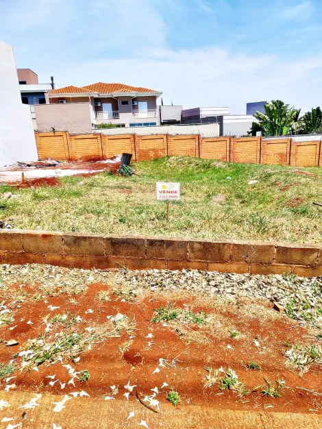 imagem 5 - Terreno comercial para venda Jardim San Marco imagem 5 - Terreno comercial para venda Jardim San Marco