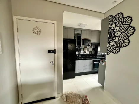 imagem 1 - Apartamento 2 dormitórios à venda no Jardim Manoel Penna imagem 1 - Apartamento 2 dormitórios à venda no Jardim Manoel Penna