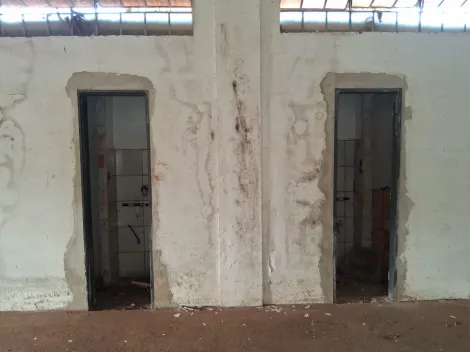 imagem 2 - Salão Comercial 253m² para locação no Engenheiro Carlos de Lacerda Chaves imagem 2 - Salão Comercial 253m² para locação no Engenheiro Carlos de Lacerda Chaves