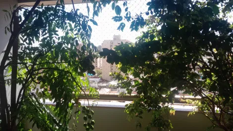 imagem 5 - Apartamento 3 dormitórios à venda no Centro imagem 5 - Apartamento 3 dormitórios à venda no Centro