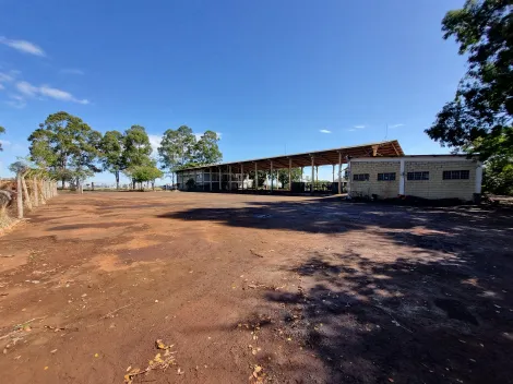 imagem 1 - Área de uso industrial e comercial as margens rodovia SP-333 com 13m² imagem 1 - Área de uso industrial e comercial as margens rodovia SP-333 com 13m²