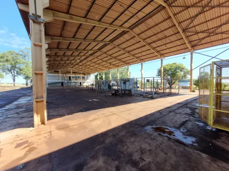 imagem 3 - Área de uso industrial e comercial as margens rodovia SP-333 com 13m² imagem 3 - Área de uso industrial e comercial as margens rodovia SP-333 com 13m²