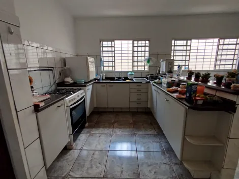 imagem 3 - Casa térrea 3 dormitórios na City Ribeirão à venda imagem 3 - Casa térrea 3 dormitórios na City Ribeirão à venda